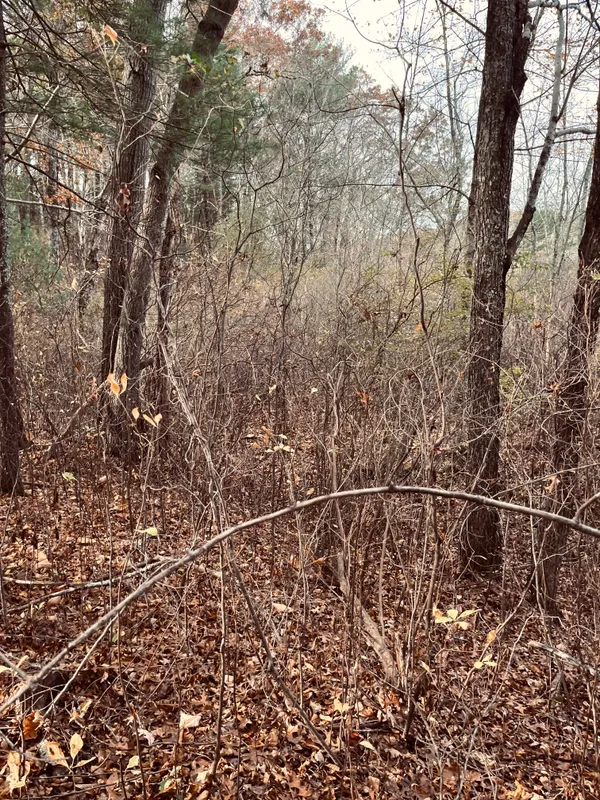 41.622°N, 71.484°W Camouflage